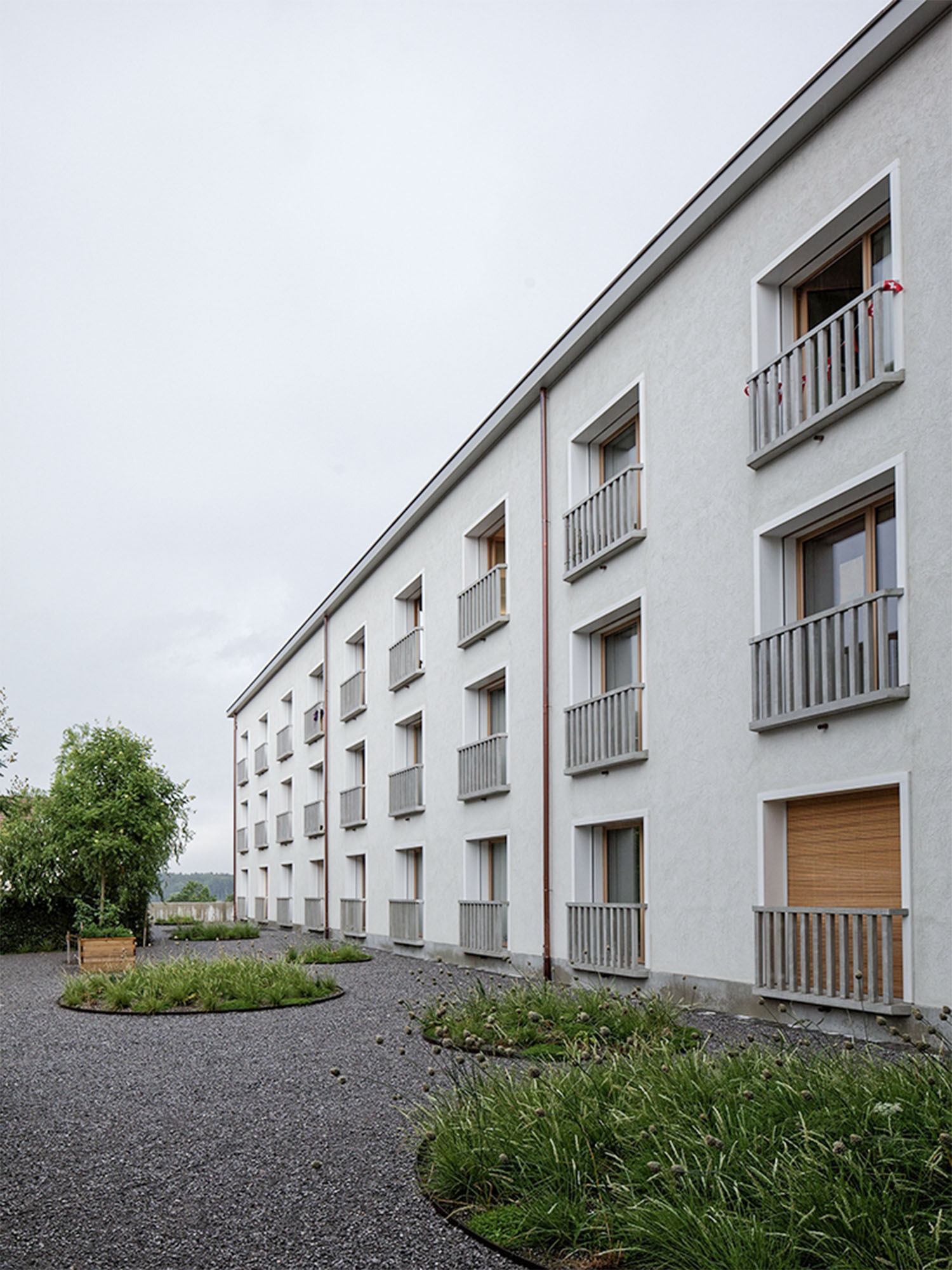 1405 projektwettbewerb loewen muri ag rogger ambauen ag architektur baumanagement 03