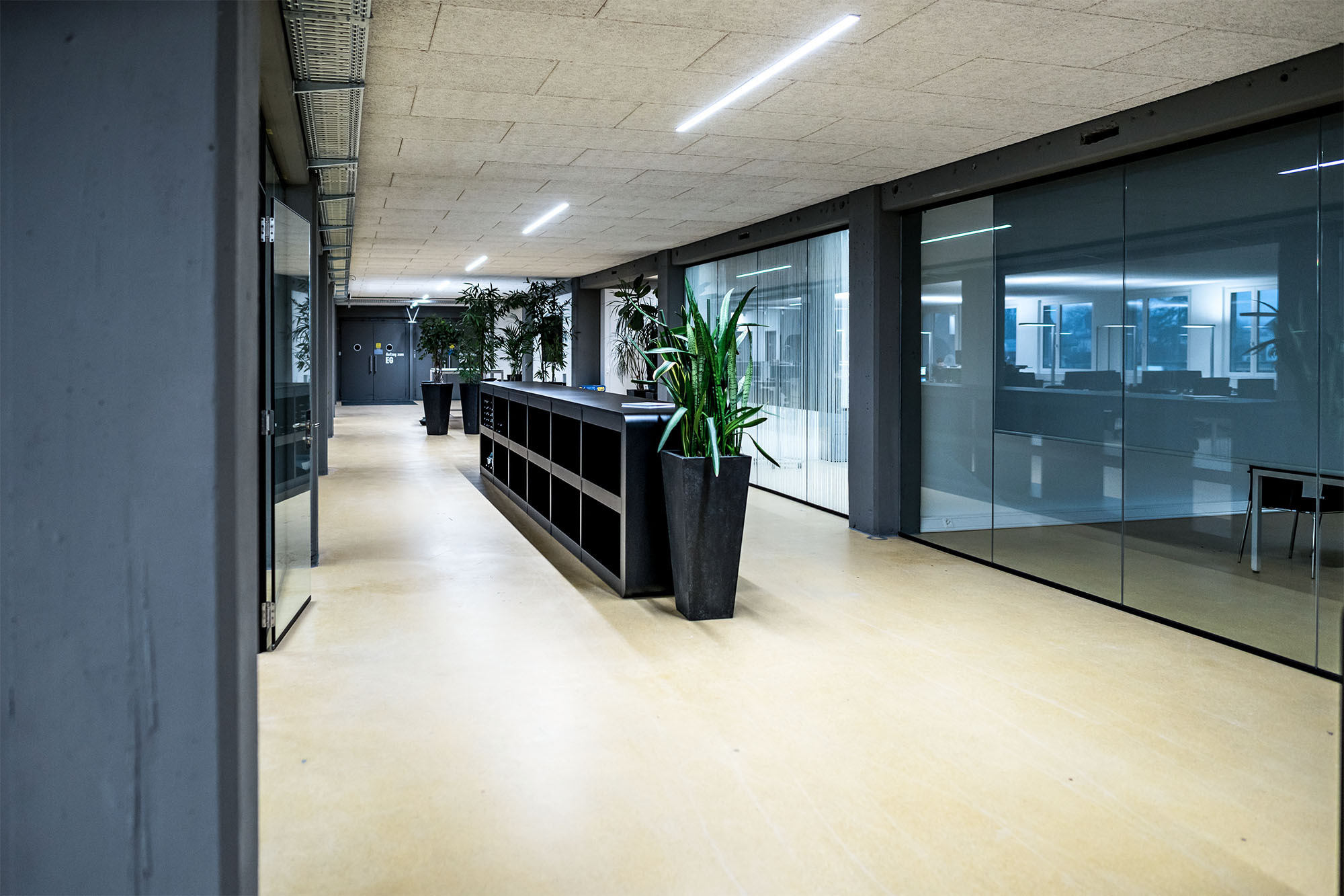 1416 auviso viscosistadt emmenbruecke rogger ambauen ag architektur baumanagement 04